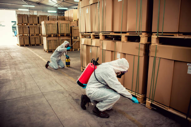Best Bed Bug Extermination  in Barrington, NJ