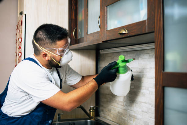 Best Residential Pest Control  in Barrington, NJ