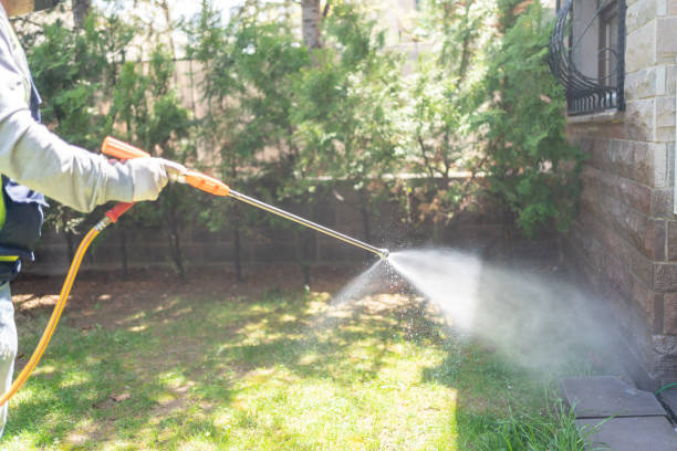 Best Affordable Pest Control Services  in Barrington, NJ
