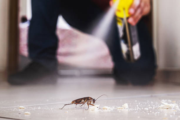 Best Best Pest Control Companies  in Barrington, NJ